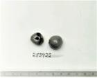 Click for 1 image(s) for this accession. FRUIT
